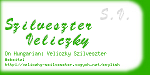 szilveszter veliczky business card